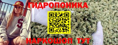 молекула духа Среднеуральск