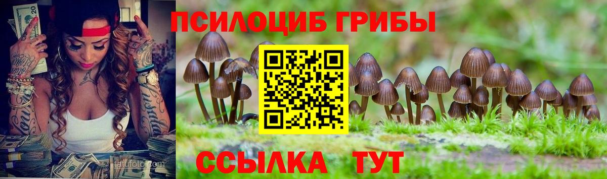 Псилоцибиновые грибы Psilocybine cubensis Нововоронеж